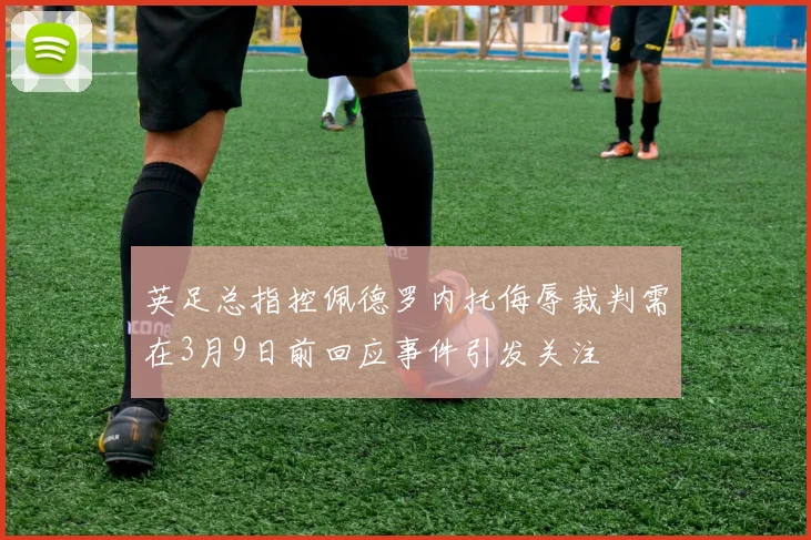 英足总指控佩德罗内托侮辱裁判需在3月9日前回应事件引发关注