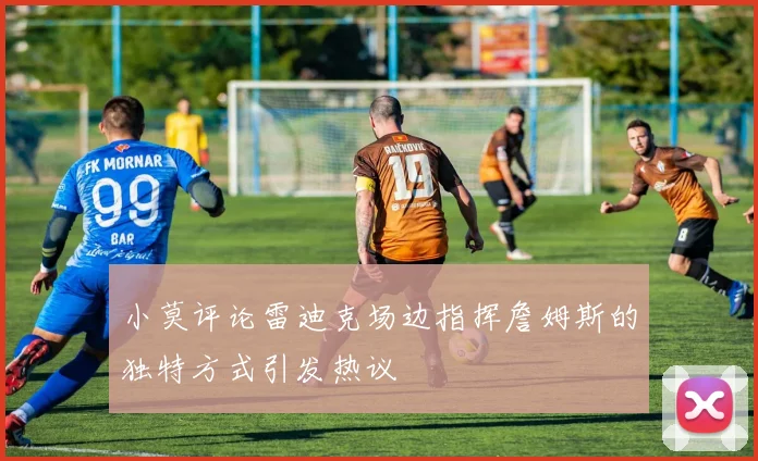 小莫评论雷迪克场边指挥詹姆斯的独特方式引发热议