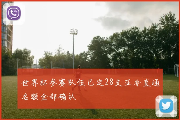 世界杯参赛队伍已定28支亚非直通名额全部确认